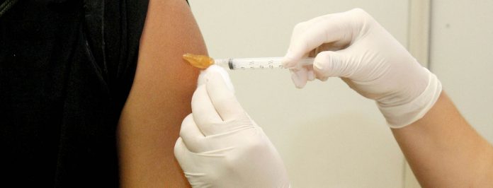 6749VACIANA DESTAQUE