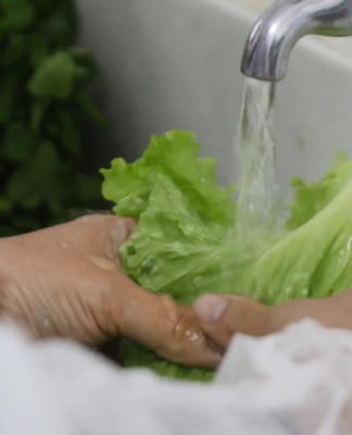 Coronavírus: Prefeitura do Rio faz parceria com Sesc RJ para levar alimentos a circos da cidade