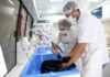 Senac RJ promove atividades gratuitas para pets e tutores na Universidade Santa Úrsula