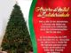 Árvore de Natal da Solidariedade vai destinar doações ao Asilo São Vicente em Valença