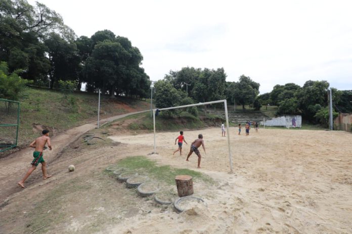 Cada Favela, uma Floresta
