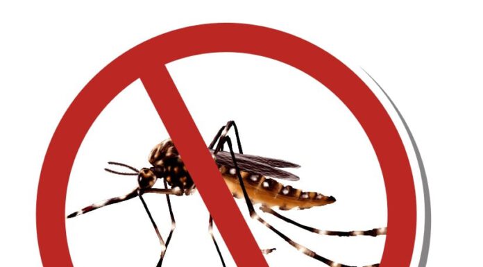 Secretaria de Estado de Saúde mantém decreto de epidemia por dengue para o Estado do Rio de Janeiro