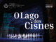 O Lago dos Cisnes estreia no dia 16 de maio no Theatro Municipal do Rio de Janeiro