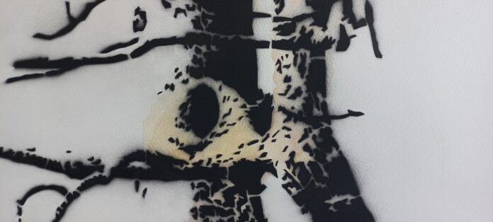 Exposição Cores da Memória de Mariane Alves